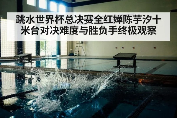 跳水世界杯总决赛全红婵陈芋汐十米台对决难度与胜负手终极观察